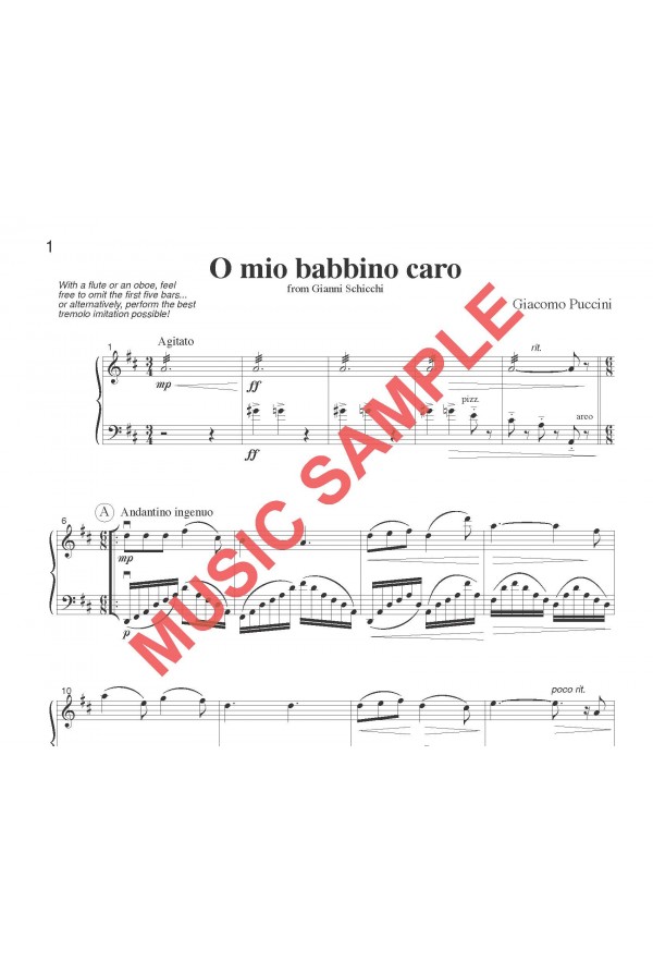 Music for Two - O Mio Babbino Caro - Flute or Oboe or Violin & Cello or Bassoon